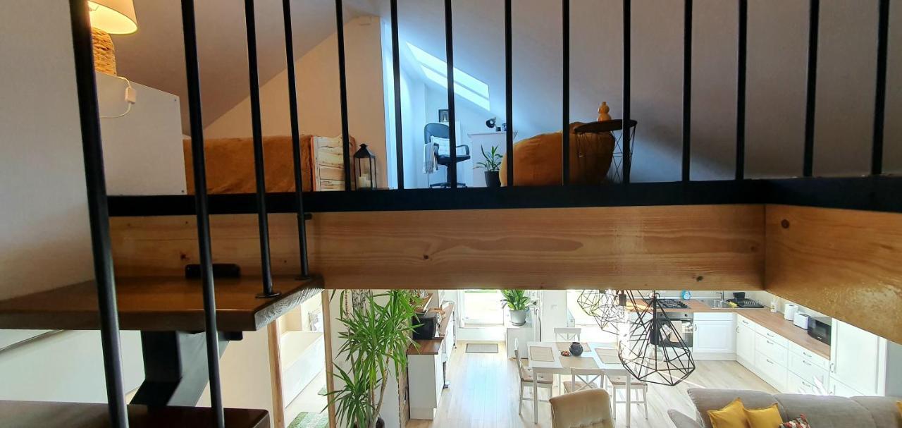 Hoobee Home & Rooftop Terrace Târgu-Mureş Eksteriør bilde